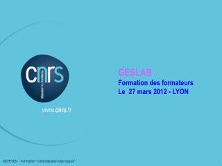 GESLAB Formation des formateurs Le 27 mars 2012 - LYON