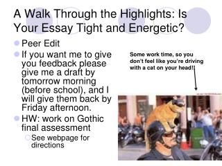 A Walk Through the Highlights: Is Your Essay Tight and Energetic?