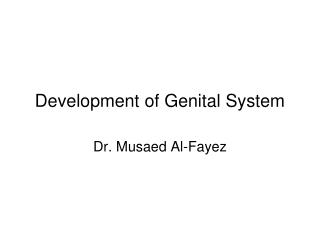 Development of Genital System