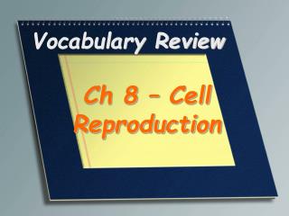 Vocabulary Review