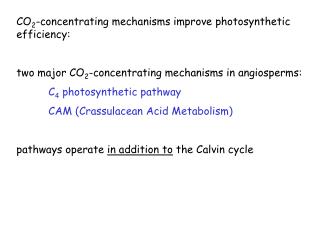 CO 2 -concentrating mechanisms improve photosynthetic efficiency: