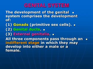 GENITAL SYSTEM