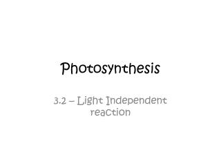 Photosynthesis