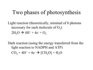 Two phases of photosynthesis