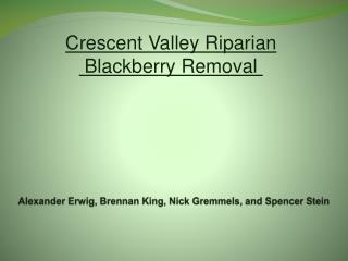 Alexander Erwig , Brennan King, Nick Gremmels , and Spencer Stein