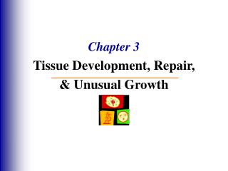 Chapter 3 Tissue Development, Repair, &amp; Unusual Growth