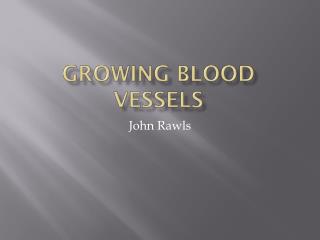 Growing Blood Vessels