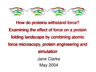 Jane Clarke May 2004