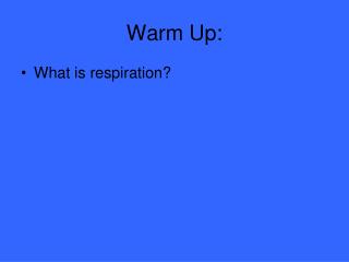 Warm Up: