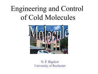 Engineering and Control of Cold Molecules