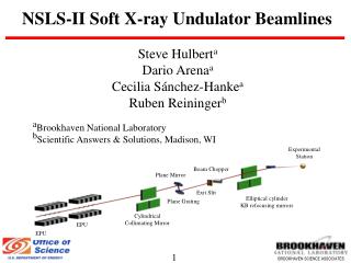 NSLS-II Soft X-ray Undulator Beamlines