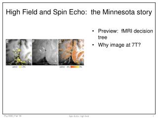 High Field and Spin Echo: the Minnesota story