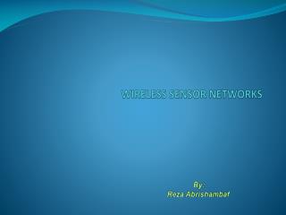 WIRELESS SENSOR NETWORKS