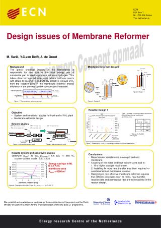 Design issues of Membrane Reformer