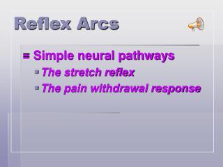 Reflex Arcs