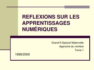 REFLEXIONS SUR LES APPRENTISSAGES NUM É RIQUES