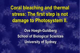 Coral bleaching and thermal stress: The first step is not damage to Photosystem II.