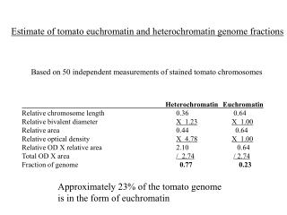 Heterochromatin Euchromatin Relative chromosome length			 0.36		 0.64