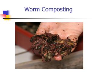 Worm Composting