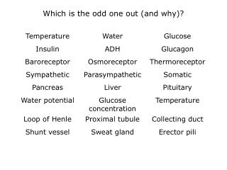Which is the odd one out (and why)?
