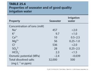 4. Salinity stress