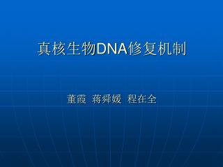 真核生物 DNA 修复机制 董霞 蒋舜媛 程在全