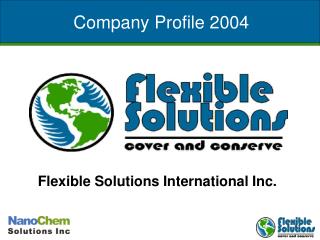 Company Profile 2004