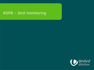 RSPB – bird monitoring