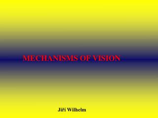 MECHANISMS OF VISION