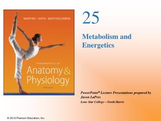 25 Metabolism and Energetics