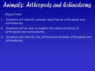 Animals: Arthropods and Echinoderms