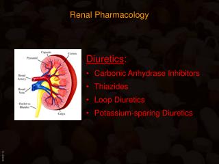 Renal Pharmacology