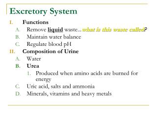 Excretory System