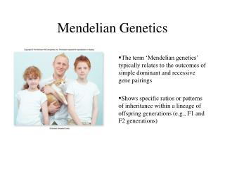 Mendelian Genetics