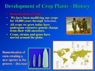 Development of Crop Plants - History