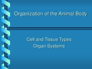 Organization of the Animal Body