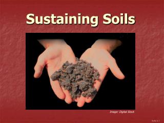 Sustaining Soils