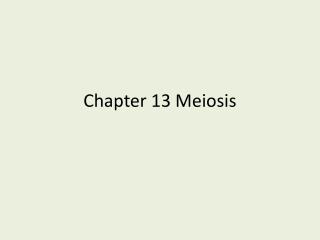 Chapter 13 Meiosis