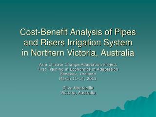 Cost-Benefit Analysis of Pipes and Risers Irrigation System in Northern Victoria, Australia