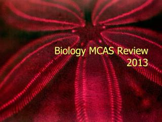 Biology MCAS Review 2013