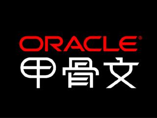 ORACLE 项目制造解决方案