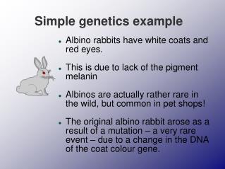 Simple genetics example