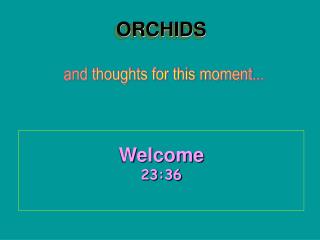 ORCHIDS