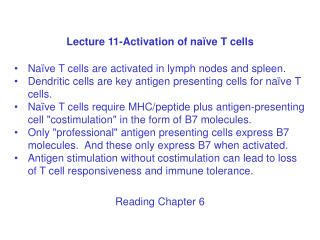 Lecture 11-Activation of naïve T cells