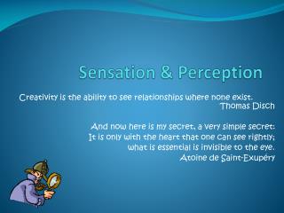 Sensation &amp; Perception