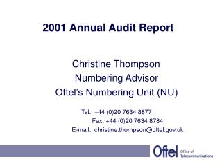 2001 Annual Audit Report