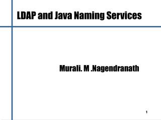 LDAP and Java Naming Services