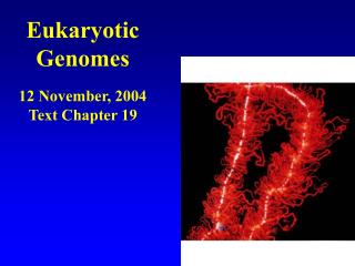 Eukaryotic Genomes 12 November, 2004 Text Chapter 19