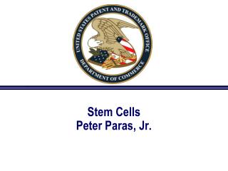 Stem Cells Peter Paras, Jr.