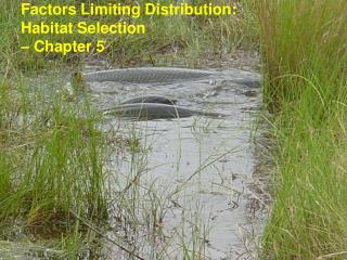 Factors Limiting Distribution: Habitat Selection – Chapter 5